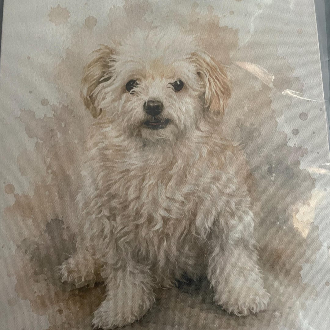 Deb
